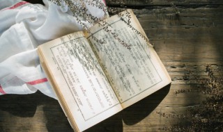 畚箕怎么读（簸箕怎么读）