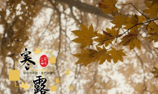 关于寒露的知识 关于寒露的知识点图片