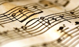 爱似水仙歌词 爱似水仙歌词简谱