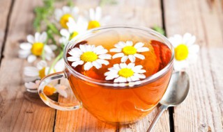 雏菊怎么读 雏菊怎么读拼音