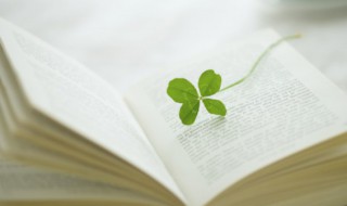 不谙世事怎么读（不谙世事怎么读音）