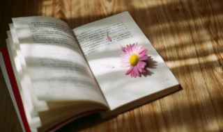 鮟鱇怎么读（鮟鱇怎么读音是什么）