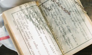 饔飧怎么读 饔飧怎么读拼音