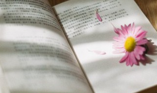 鲦怎么读 雊怎么读