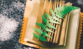 铛dang组词 铛dang组词两个字