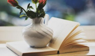 蜘组词语（蜘组词语一年级）