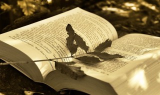 攻讦的拼音怎么读 抨击的拼音怎么读