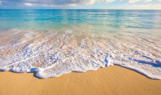 赶海的小姑娘歌词（赶海的小姑娘歌词歌谱）