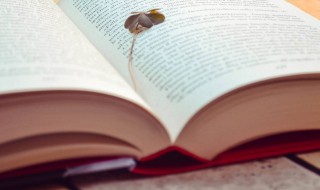 静谧的拼音怎么写（静谧的拼音怎么写两个）