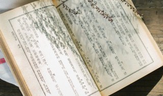 龟马是什么意思（龟的意思是）