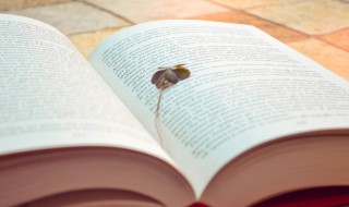 广东简称粤怎么读 广东省简称粤怎么读