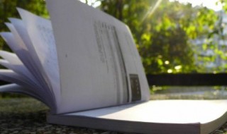 打的多音字组词 打的多音字组词语