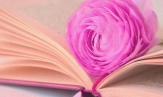 勤组词（勤组词是什么）