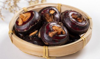 马蹄荸荠怎么读（马蹄荸荠怎么读中文）