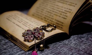 艳的拼音怎么写（鲜艳的艳的拼音怎么写）