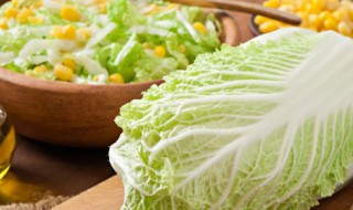 白菜炖虾的家常做法（白菜炖虾的家常做法视频）