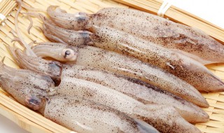 鱿鱼怎么做好吃又简单的家常做法 鱿鱼家常做法