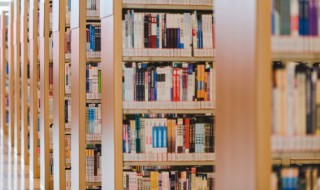 毽组词（毽组词100个）