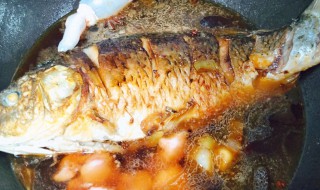 红烧鲤鱼做法视频 红烧鲤鱼做法