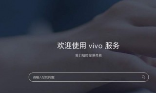 vivo主题找不到了 vivo主题怎么没有搜索