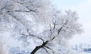 银装素裹什么意思（银装素裹什么意思和拼音）