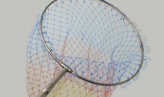 钓鱼时装鱼的网子叫什么（钓鱼用来装鱼的网叫什么）