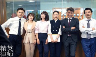 精英律师麦飞被保姆告是哪一集（精英律师麦飞被保姆告剧情介绍）