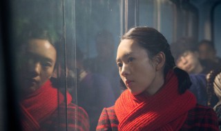 大江大河萍萍怀孕第几集 大江大河萍萍哪集走的