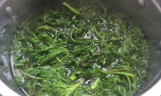 煮艾叶放碱还是小苏打（艾叶放小苏打煮起什么作用）