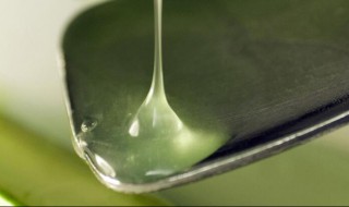 生芦荟擦脸的正确方法 生芦荟擦脸的正确方法是什么