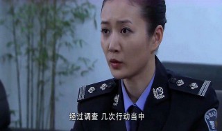 督察队长住宾馆报警是哪一集（督察队长住宾馆故意报警是哪一集）