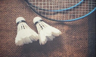 羽毛球上网移动步法主要用于（羽毛球上网移动步法主要用于接杀球）