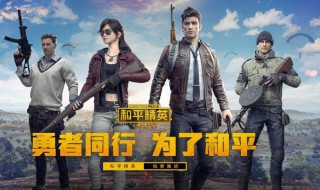 和平精英学生可以玩吗（和平精英游戏学生能玩吗）