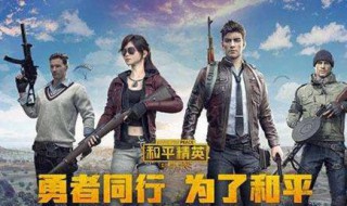 和平精英怎么看车里面的视角 和平精英车内视角