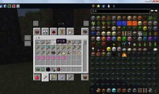 我的世界开关门怎么做（我的世界开关门怎么做教程）