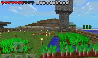 我的世界僵尸怎么腐肉吃不了（我的世界僵尸肉能干嘛）