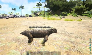 方舟水龙兽升级加点（方舟水龙兽升级后怎么加点）