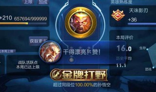 王者荣耀娱乐模式有金牌吗（王者荣耀打娱乐模式有金牌银牌吗?）