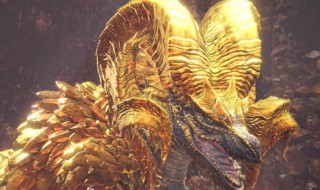 怪物猎人古龙的大宝玉打什么出 怪物猎人古龙大龙玉