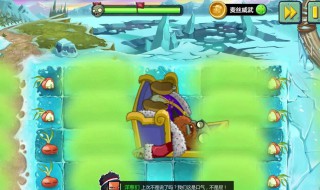 植物大战僵尸英雄安装需要什么网（植物大战僵尸英雄安装包下载）