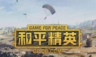 和平精英认证号标志是什么 和平精英认证号标志有哪些