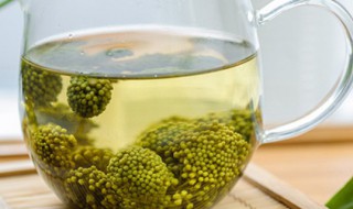 三七花翠珠茶的功效与作用（三七翠珠茶的副作用）