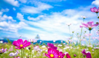 春分节气养生短信 春分节气养生祝福语