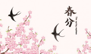 迎接春分的句子（迎接春天的语句）