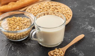 苏泊尔豆浆机打豆浆豆子要泡吗 豆浆机打豆浆豆子要泡吗