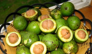 核桃汁沾衣服怎么洗掉 核桃皮汁液弄到衣服上怎么洗掉