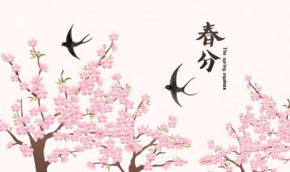 春分节气经典祝福语精选（春分节气经典祝福语精选短句）