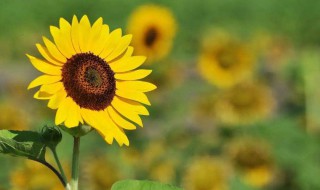 瓷砖客户问候短信 瓷砖问候语