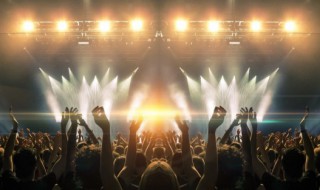 你看那盛放的花是什么歌（你看那盛放的花是啥歌）