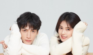 半是蜜糖半是伤剧情和人物介绍（半是蜜糖半是伤的主角是谁）